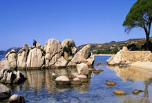 爱游戏在线-乔丹科尔：不排除再度回到总决赛并获得冠军，科里乔丹