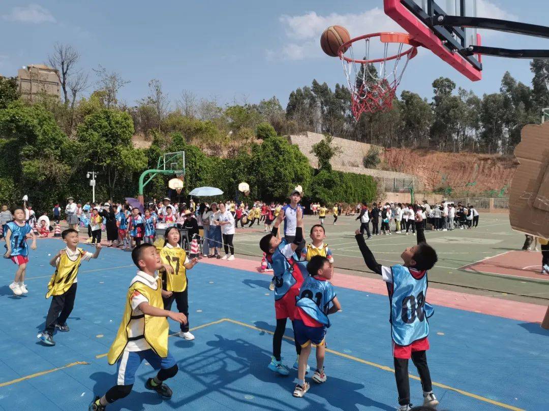 篮球赛场迎来新秀闪耀，获得关注和赞誉的简单介绍