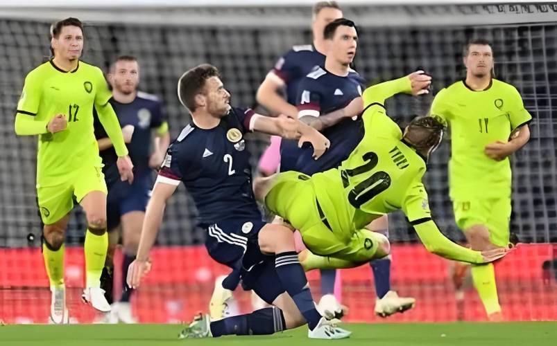 波黑击败乌克兰队，晋级欧国杯半决赛