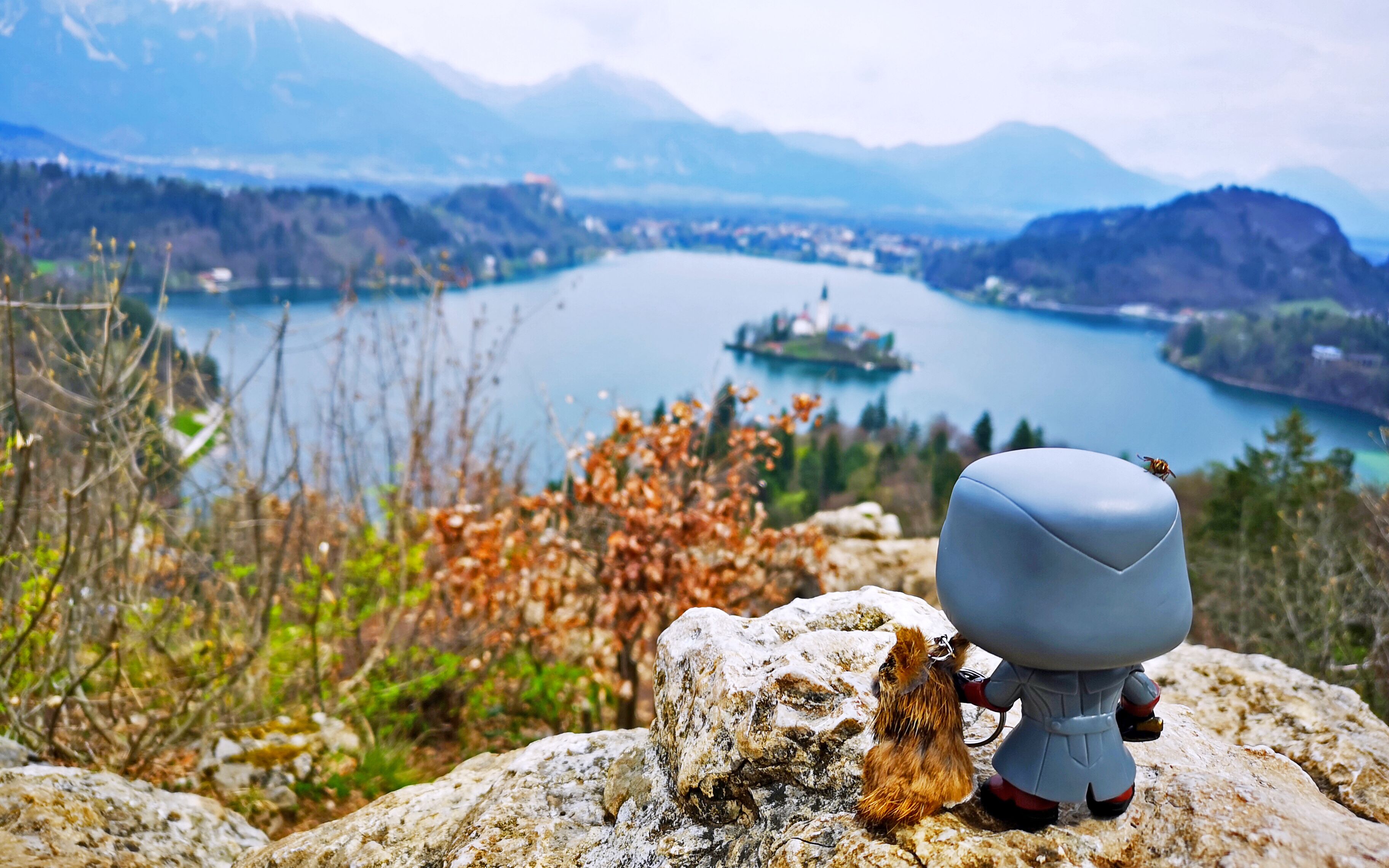 包含保加利亚不敌瑞士，遭遇背水一战的词条