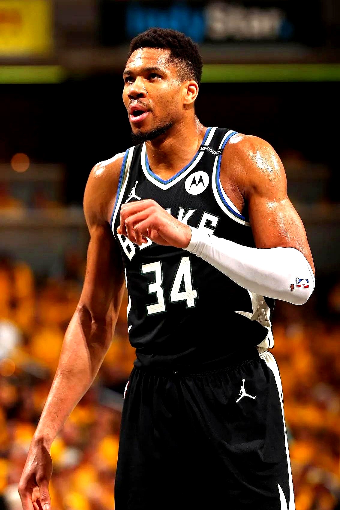 雄鹿战胜公牛,字母哥全场表现全面贡献的简单介绍 雄鹿战胜公牛,字母哥全场表现全面贡献的简单介绍